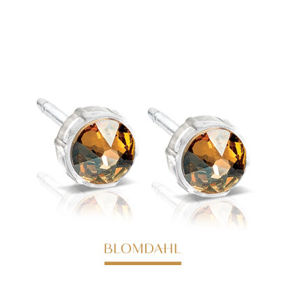 Hypoallergenic Golden Shadow 6 mm Earrings