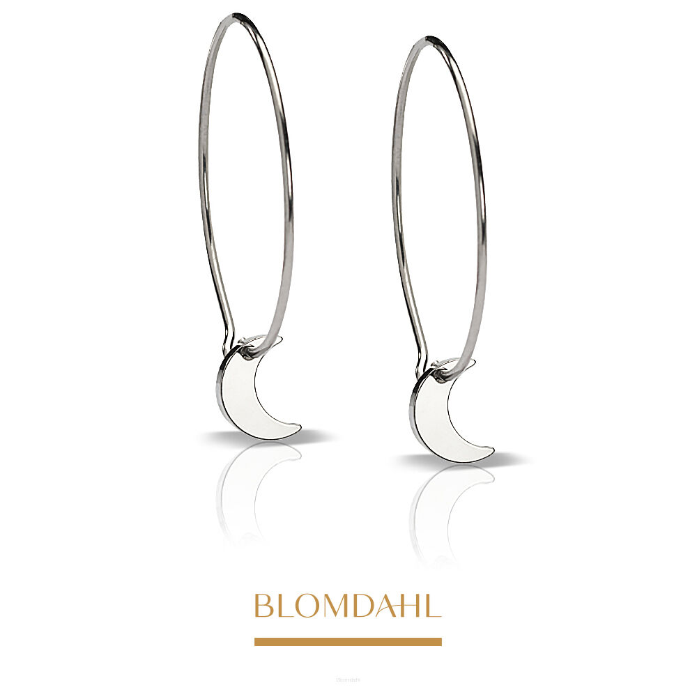 Hypoallergenic Earrings Ear Ring Pendant Moon 8 mm Ring 25 mm