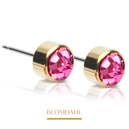 Hypoallergenic Bezel Rose 5 mm Earrings