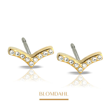 Hypoallergenic Brilliance Wing Crystal Earrings 8 mm