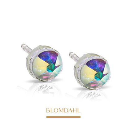 Hypoallergenic Rainbow 6 mm Earrings