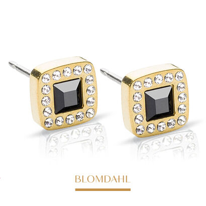 Hypoallergenic Brilliance Cushion Crystal/Black 8mm Earrings