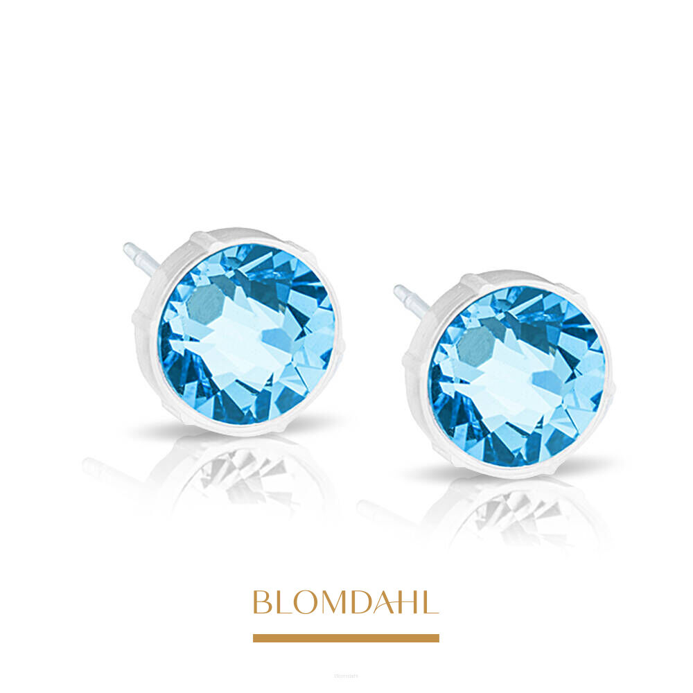 Hypoallergenic Aquamarine 6 mm Earrings