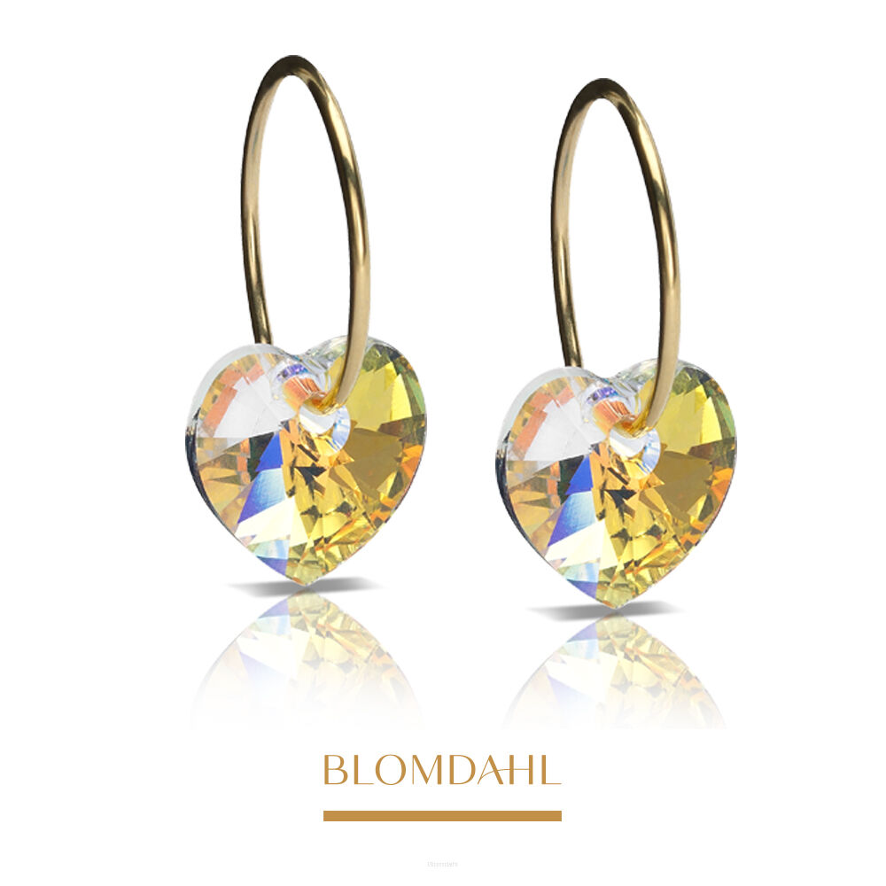 Hypoallergenic Heart Rainbow Earrings 10 mm Ring 14 mm