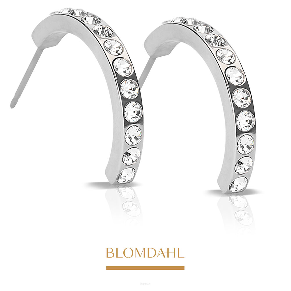 Hypoallergenic Earrings Pendant Brilliance Curved Crystal 20 mm