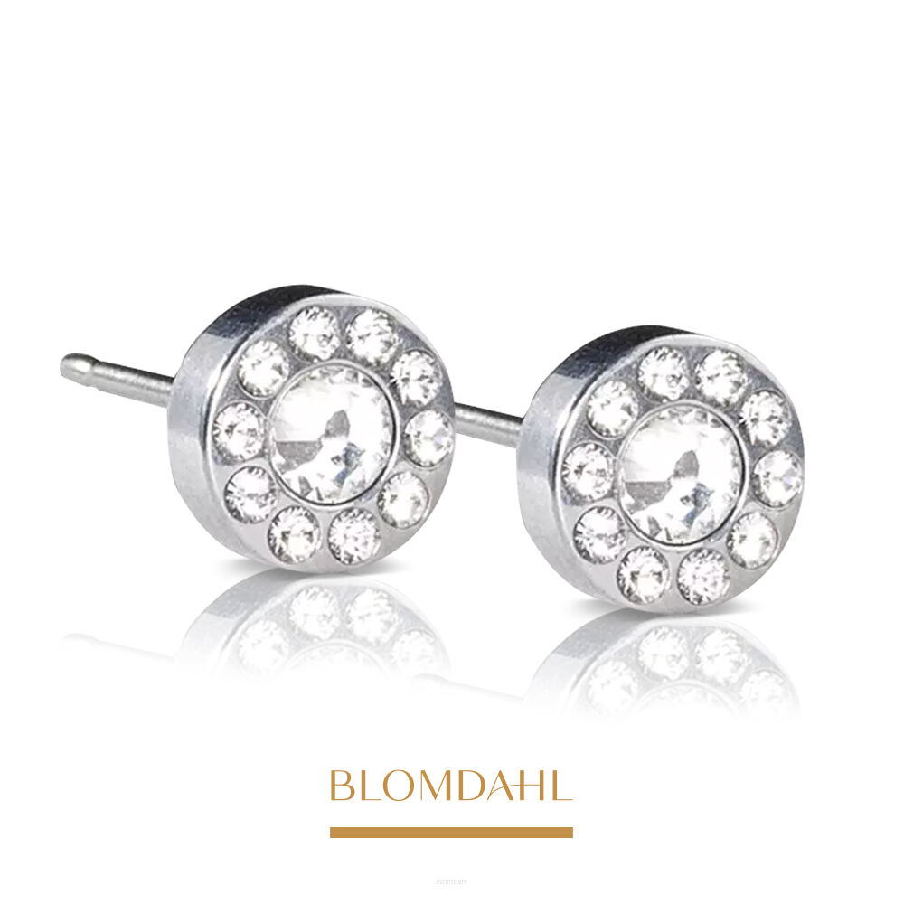 Hypoallergenic Brilliance Halo Crystal 6 mm Earrings
