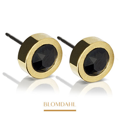 Grand Bezel Black 8 mm SFJ" translates to "Grand Bezel Black 8 mm SFJ" in English.