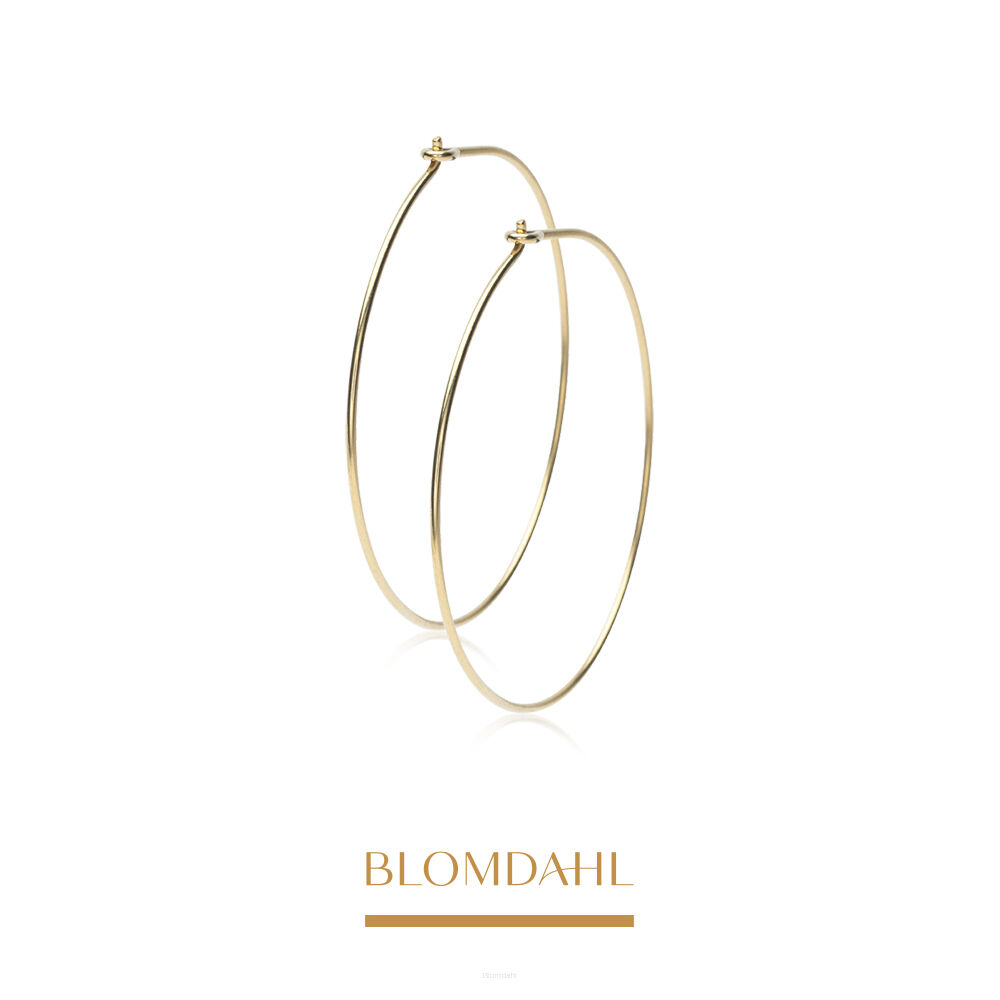 Hypoallergenic Earrings Ear Ring 25 mm